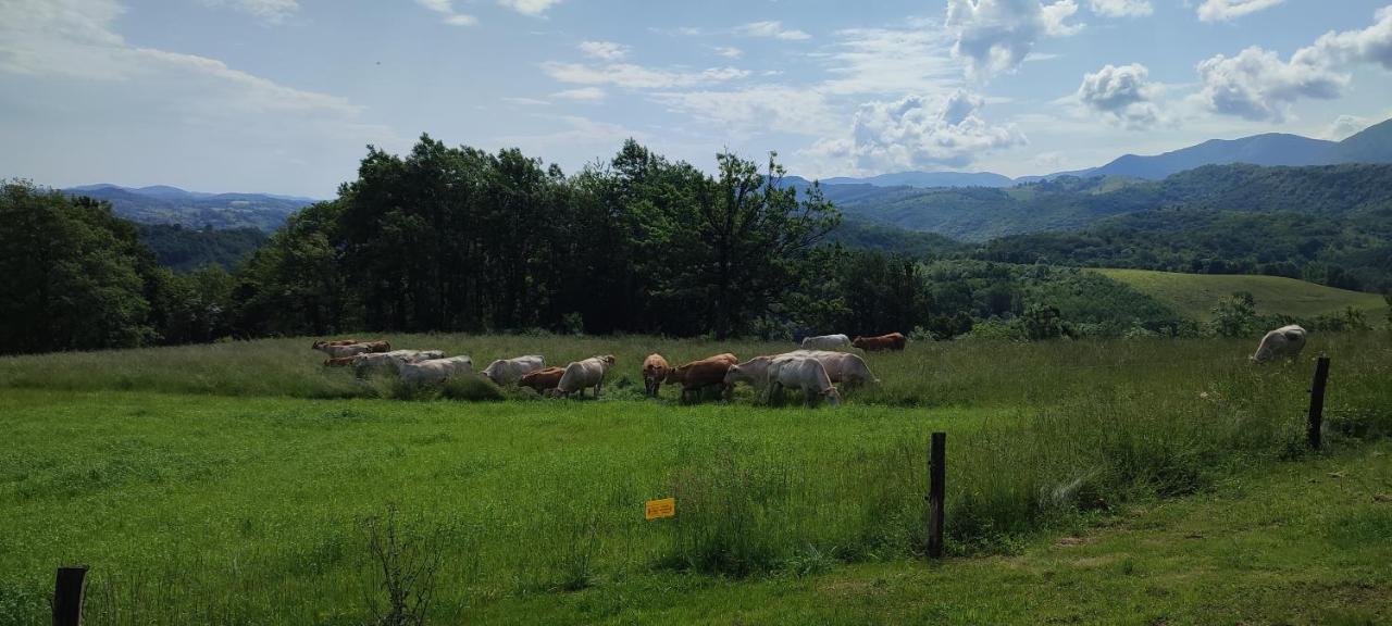 Domaine Le Lanis "Cabane De Pauline" Saint-Girons  Dış mekan fotoğraf