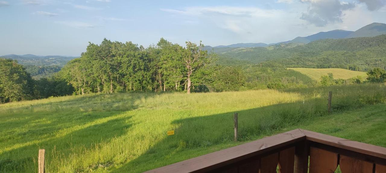Domaine Le Lanis "Cabane De Pauline" Saint-Girons  Dış mekan fotoğraf