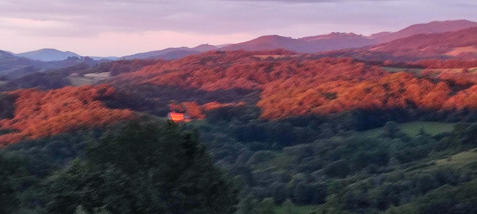 Domaine Le Lanis "Cabane De Pauline" Saint-Girons  Dış mekan fotoğraf