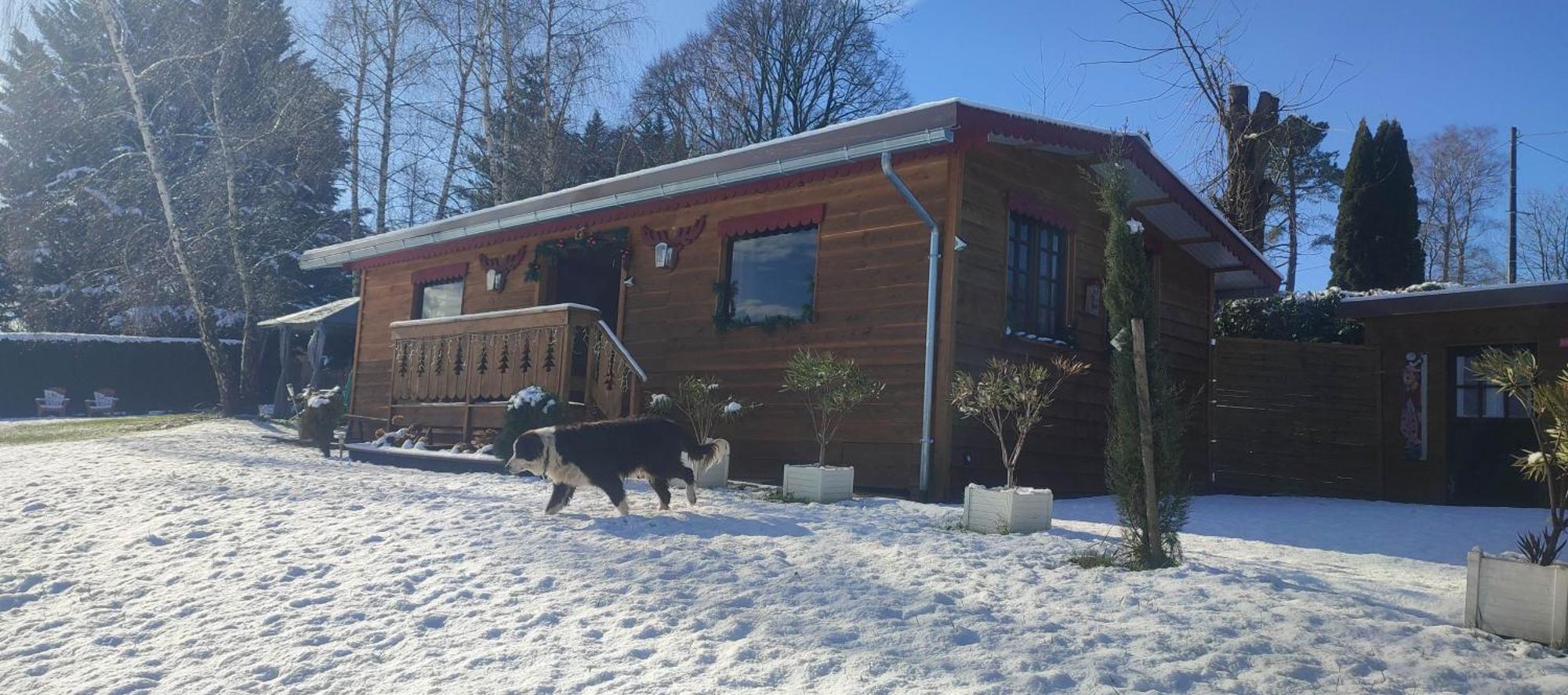 Domaine Le Lanis "Cabane De Pauline" Saint-Girons  Dış mekan fotoğraf
