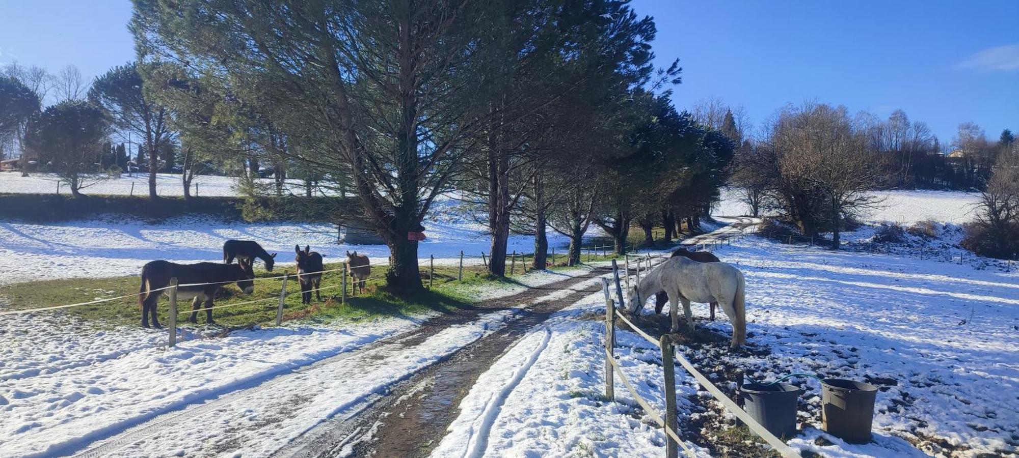 Domaine Le Lanis "Cabane De Pauline" Saint-Girons  Dış mekan fotoğraf